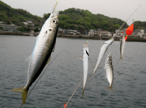 雨の日の釣りは釣果につながる 雨の釣りで気をつけたいポイントとは