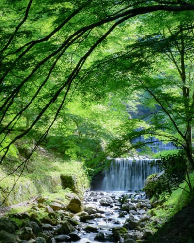 夏の岐阜観光 真夏でも涼める快適おすすめスポットはここ