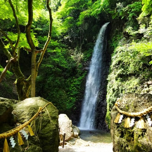 夏の岐阜観光 真夏でも涼める快適おすすめスポットはここ