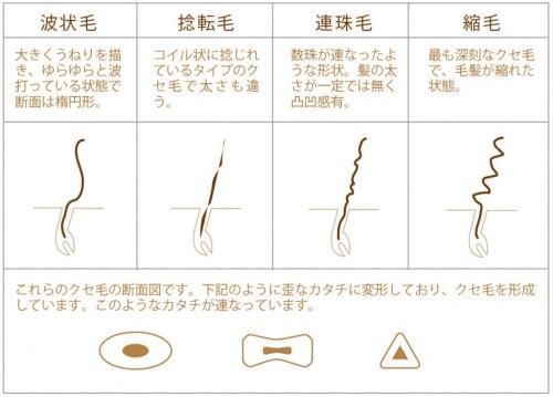 くせ毛の種類の判断方法は メンズ 波状毛や連珠毛を画像付きで解説