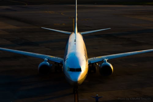 韓国 日帰り弾丸旅行を計画 羽田 関空 福岡発着 周れるスポットは