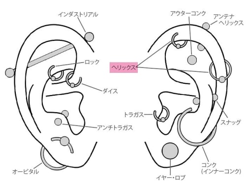 ピアス 軟骨 はオシャレでかわいい 痛みや腫れは 人気の位置はどこ