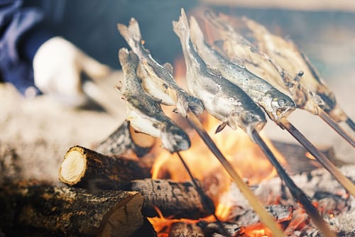 宮城の子供と楽しめる釣り堀5選 釣った魚を食べることも 18年