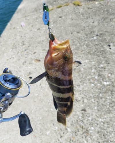 鹿児島 初心者でも大物が 上級者の間でも話題のおすすめ釣りスポット10選