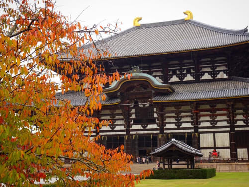 桜井のカフェ 奈良県 隠れ家的なおしゃれカフェでまったり過ごす