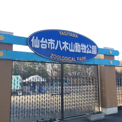 仙台の人気動物園 動物ふれあいスポットは アクセス情報もご紹介 18年