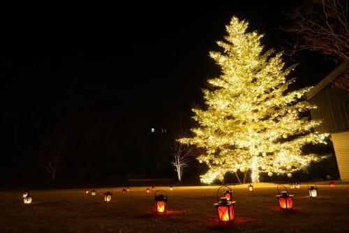 軽井沢でロマンチックなクリスマスを過ごそう デート ディナースポット4選