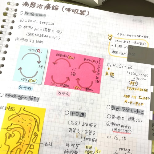 可愛いノートの書き方まとめ 学生向け 女子力の見せ所 コツは