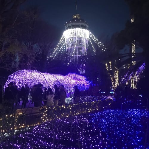 年末年始を江ノ島で過ごそう イベントや混雑状況などご紹介