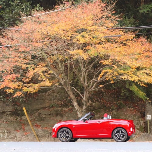 ずっと運転していたい 楽しい車おすすめ厳選 女性でもカッコイイ車に乗る時代