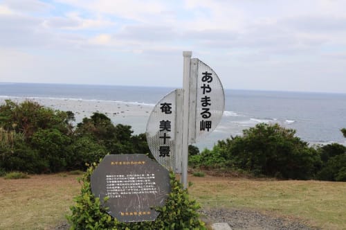 年末年始は暖かい奄美大島で過ごそう おすすめ観光地やイベントは