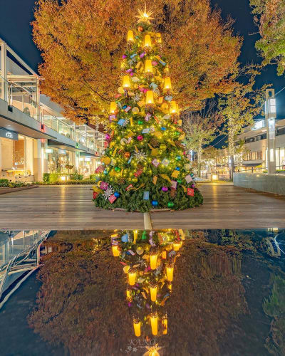 名古屋のクリスマスデートスポットランキングbest5
