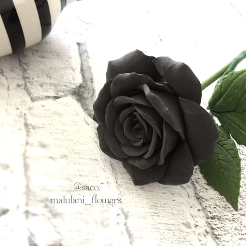 ラブリーかっこいい 黒 薔薇 花 言葉 すべての美しい花の画像