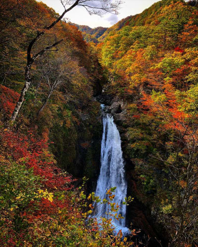 宮城の紅葉に酔いしれる 18年版 穴場スポットもご紹介