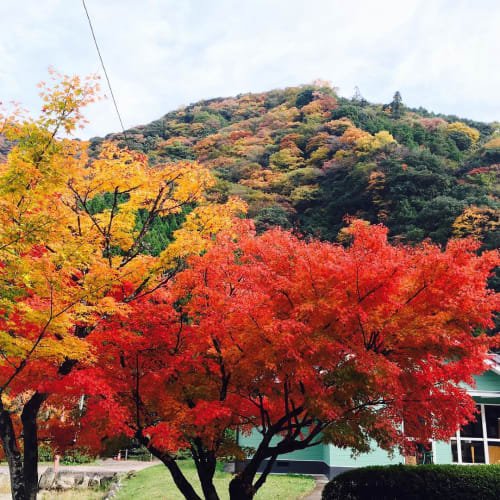 大分の紅葉が見れるスポット厳選10 18年度版 時期や穴場もご紹介