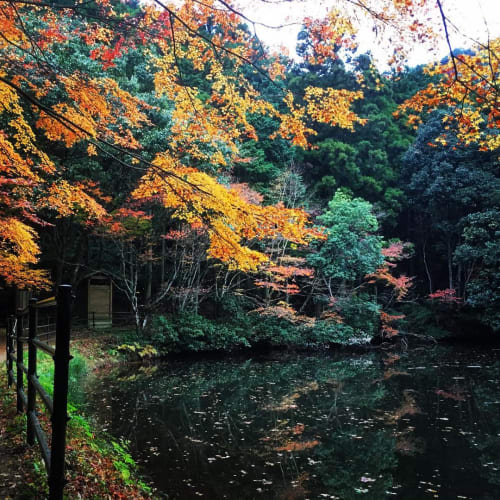 大分の紅葉が見れるスポット厳選10 18年度版 時期や穴場もご紹介