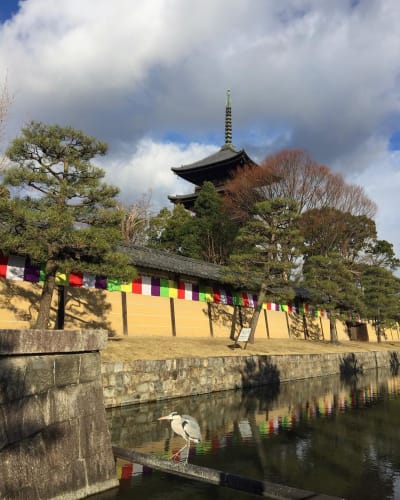 19年版 これでわかる 京都 東寺の見どころや詳細を徹底チェック