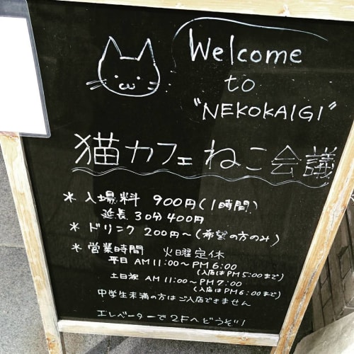 19年版 看板猫に会いに行こう 京都のおすすめ猫カフェ9選