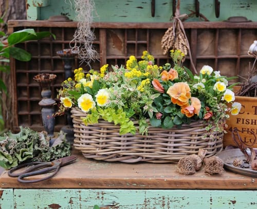 19春 寄せ植え初心者におすすめの花厳選 おしゃれな組み合わせのコツは