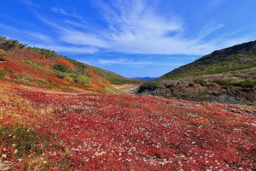 北海道 層雲峡のロープウェイ19年版 駐車場や所要時間は