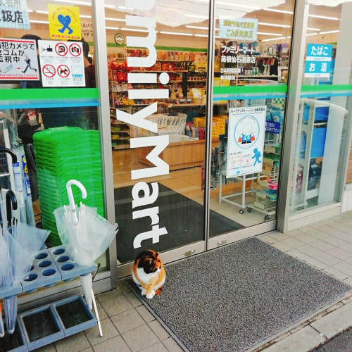 コンビニでコピー用紙は買える コピー用紙が安く買える所もご紹介