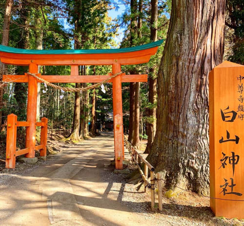 19年最新 福井のパワースポット 有名な神社 お寺をご紹介