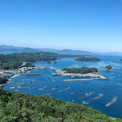 19年gwどこ行く 鹿児島 夢追い長島花フェスタの見所は