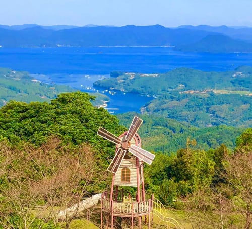 19年gwどこ行く 鹿児島 夢追い長島花フェスタの見所は