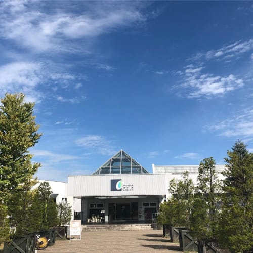 Ipvmt3tca5vhnltykbnz