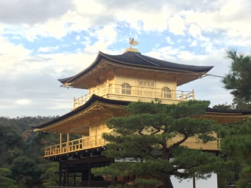 京都 金閣寺のお土産15選 部屋を金閣寺の香りにするお香や限定サブレも