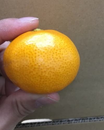 Krllkesjnfhprklg00oj
