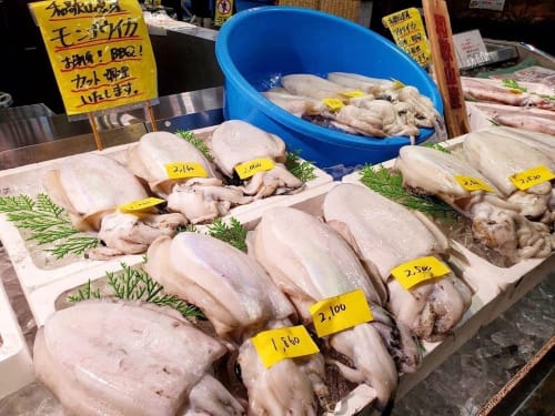 体験レポ 黒潮市場ととれとれ市場を比較紹介 お得で新鮮な海鮮丼 和歌山で人気の二大市場に潜入
