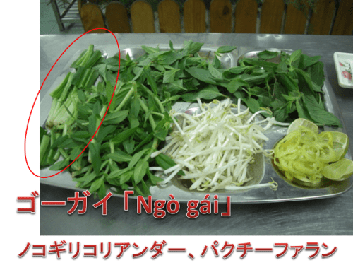 V9g4qp86kvcuizpinmuq
