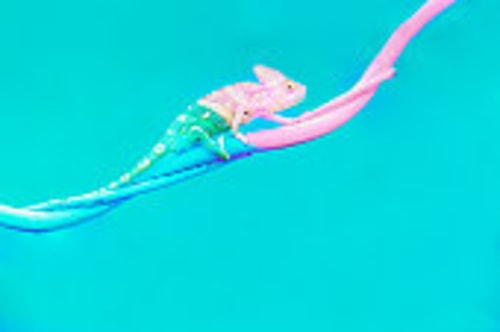 Qjnc8fu7cxe7vkpwenps
