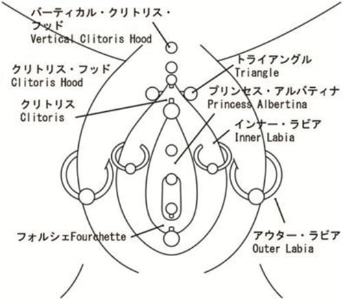 経験者が語る マンコにピアスを開けると感度倍増 開け方 メリットを解説