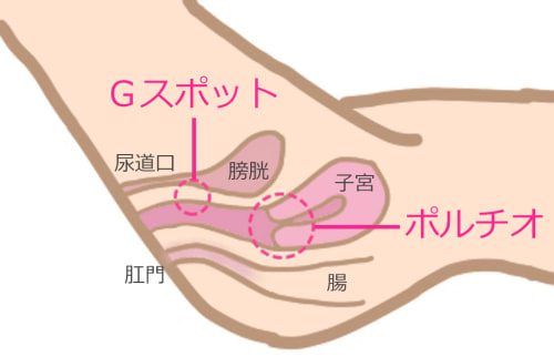 オナニストが解説 中イキするにはgスポット開発が必要不可欠 魅力や刺激の仕方を伝授