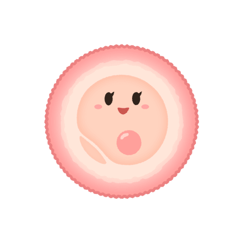 Mr7urmf0d09uusoex5u5