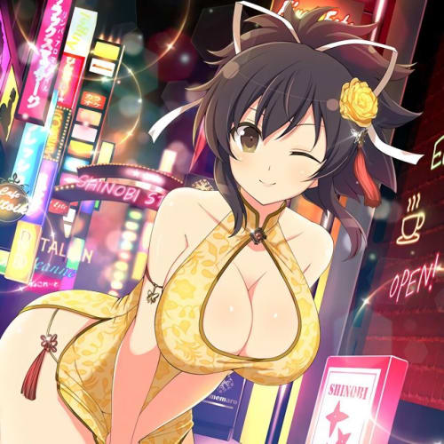 画像 動画 閃乱カグラのキャラクターがエロい 抜ける画像や動画をまとめてみた