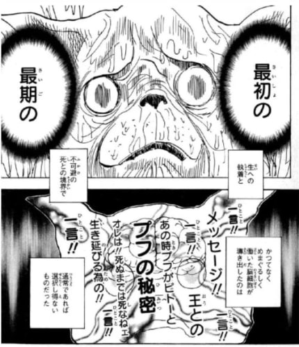 ハンターハンター ウェルフィンの コムギ の一言が全てを変えた 考察まとめ