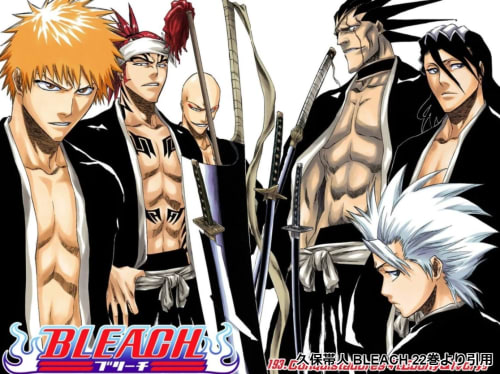 Bleach 心に響く巻頭ポエムランキングtop15を紹介 オサレなポエムに酔いしれろ