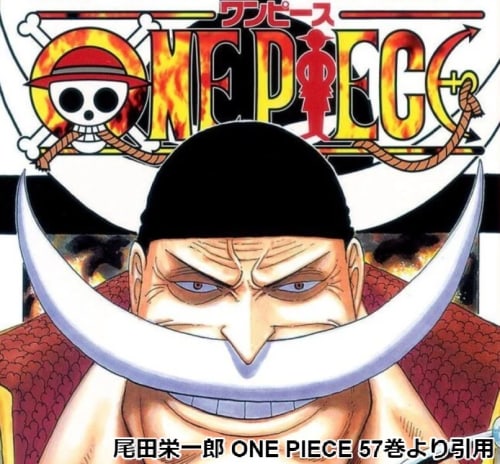 多様な One Piece One Piece 頂上戦争 ゼット カイドウ シングルカード Desplans Com