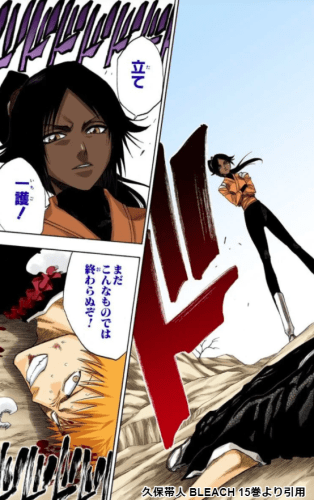 Bleach 四楓院夜一の卍解 斬魄刀の正体に迫る 浦原や砕蜂との関係 弟がいるって本当