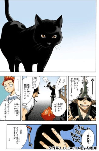 Bleach 四楓院夜一の卍解 斬魄刀の正体に迫る 浦原や砕蜂との関係 弟がいるって本当