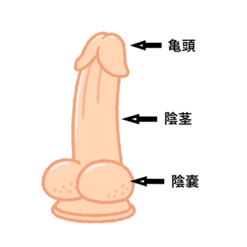 Qvc6f9guy7txrosfe2nh