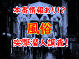 【2024年本番情報】埼玉県・所沢で実際に遊んできた風俗6選！本当にNNや本番があるのか体当たり調査！のサムネイル画像