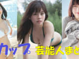 Dカップのアイドル・女優・タレント芸能人45選のサムネイル画像