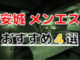 【2024年最新情報】抜きあり？愛知県・安城のおすすめのメンズエステ4選！いやらしく癒されてスッキリ！本番は？のサムネイル画像