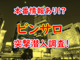 【2024年抜き情報】東京・御徒町のピンサロ6選！本当に本番ありなのか体当たり調査！のサムネイル画像