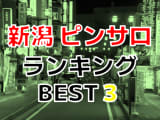 新潟のおすすめピンサロ・人気ランキングBEST3！【2024年最新】のサムネイル画像