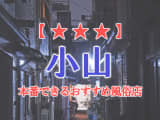 【栃木県】小山で本番できる風俗店7選！のサムネイル画像
